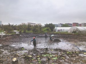 南溪河道鱼塘清淤